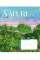 Зошит шкільний 1В Colors of nature А5 48 аркушів клітинка 1 Вересня (767359)