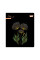 Зошит учнівський Yes Floral bloom А5 24 аркушів лінія (768593)