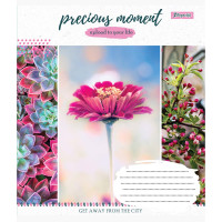 Тетрадь школьная А5 48 клетка 1В Precious Moment набор 10 шт. (764942)