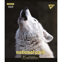 Тетрадь школьная А5 24 клетка YES Wild Portrait набор 10 шт. (765240)