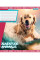 Зошит шкільний А5/18 лінія 1В Adventure animals набір 25 шт. (766337)