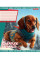 Зошит шкільний А5/18 лінія 1В Adventure animals набір 25 шт. (766337)