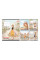 Зошит шкільний Yes Strolling dreams А5 12 аркушів лінія (768695)
