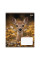 Зошит шкільний 1Вересня Wildlife is beautiful А5 18 аркушів клітинка (769144)
