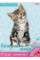 Наб.№ 6 цветабумаги бархатной А4(10л/10цв) в ящ. мiх: 2 дизайна код: 950537