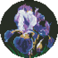 Круглая алмазная мозаика Нежные ирисы Диаметр 19 Ideyka (AM-R7924)