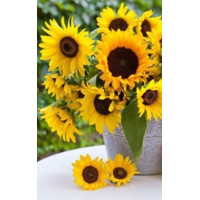 Алмазная мозаика Подсолнухи для мамы 30*40см с рамкой (Y0069)