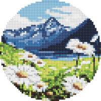 Круглая алмазная мозаика Нежные ромашки Диаметр 19 Ideyka (AM-R7921)