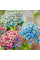 Алмазная мозаика Гортензия 30*30см на подрамнике Santi (954350)