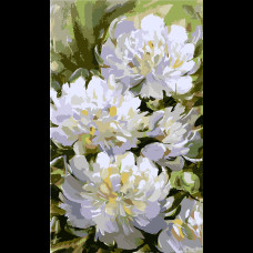 Картина по номерам Белые пионы 30x50см ©maryna_hryhorenko_ Santi (954424)