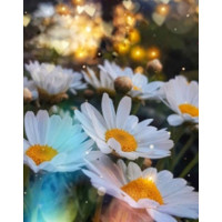 Алмазная мозаика Ромашки 30*40см с рамкой (Y0095)