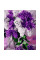 Картина по номерам Букет сирени 40*50 см. Santi код:953827