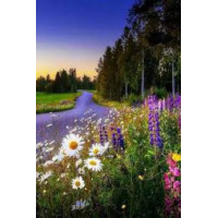 Алмазная мозаика Полевые цветы на берегу реки 30*40см с рамкой (Y0081)
