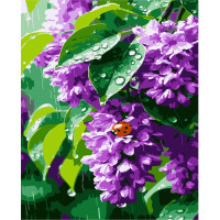 Картини за номерами "Бузок" 50*60 см (PNX8694)