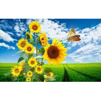 Алмазна мозаїка Сонячні квіти і метелик 30*40см ТМ Dreamtoys (S20041)