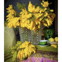 Алмазна мозаїка Мімоза на столі без підрамника, 30*40см, ТМ Dreamtoys (S30055)